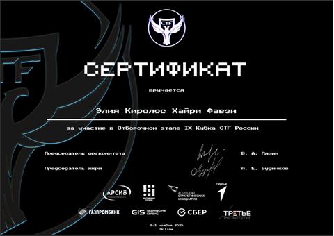 Превью сертификата IX CTF Cup of Russia