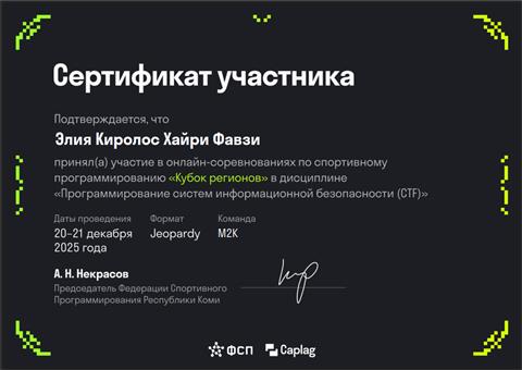Превью сертификата Regional Cup CTF