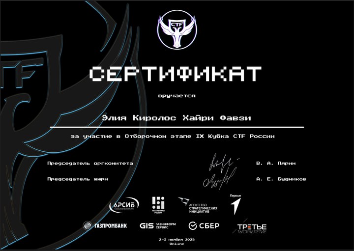 Превью сертификата IX CTF Cup of Russia