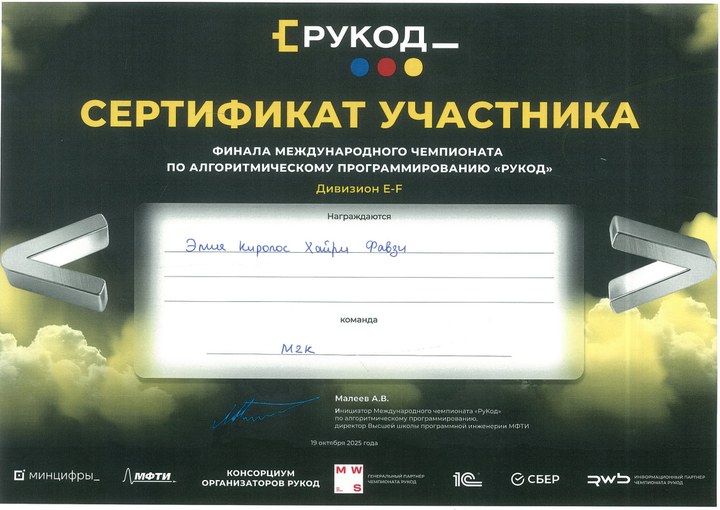 Превью сертификата RuCode Final 2025